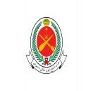قوات الدفاع الجوي